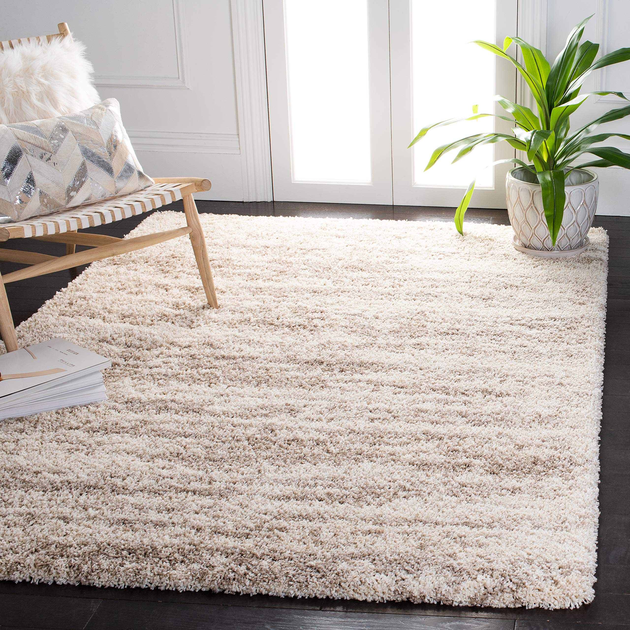 Amazon.com: SAFAVIEH Hudson Shag Collection Accent Rug - 3' x 5